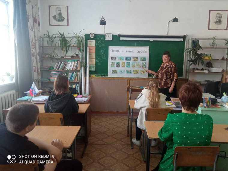 День птиц.