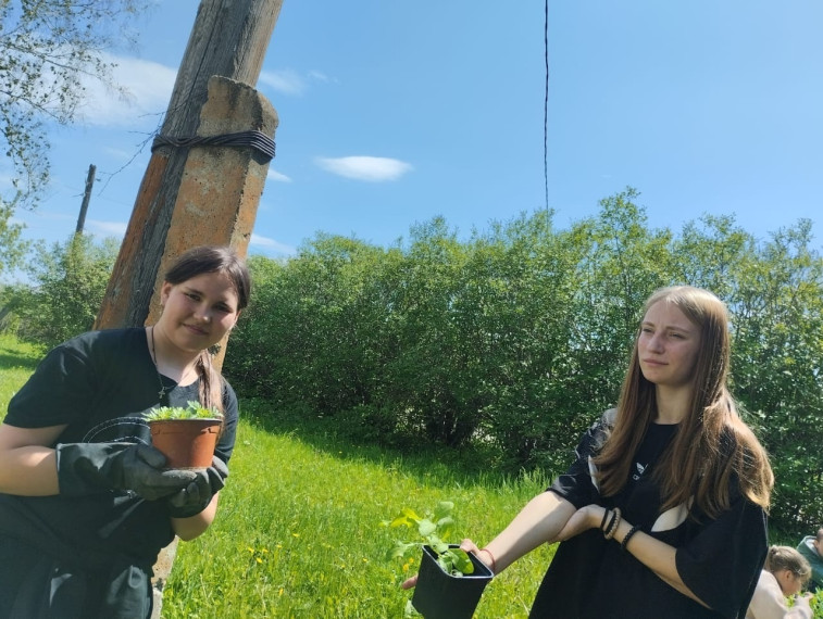 Цветы.